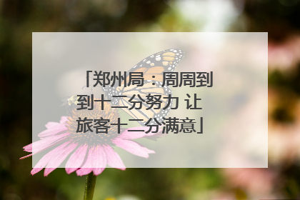 郑州局：周周到到十二分努力 让旅客十二分满意