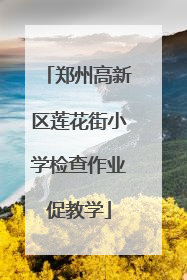 郑州高新区莲花街小学检查作业促教学
