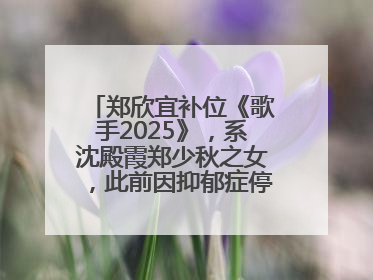 郑欣宜补位《歌手2025》，系沈殿霞郑少秋之女，此前因抑郁症停工两年