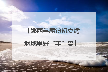 郧西羊尾镇初夏烤烟地里好“丰”景