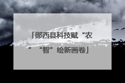 郧西县科技赋“农”“智”绘新画卷