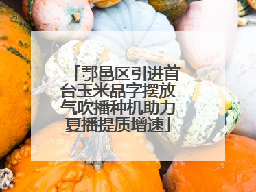鄠邑区引进首台玉米品字摆放气吹播种机助力夏播提质增速