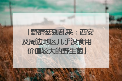 野蘑菇别乱采：西安及周边地区几乎没食用价值较大的野生菌