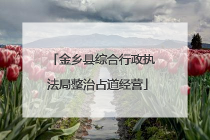 金乡县综合行政执法局整治占道经营