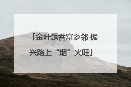 金叶飘香富乡邻 振兴路上“烟”火旺