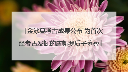 金泳墓考古成果公布 为首次经考古发掘的唐新罗质子墓葬