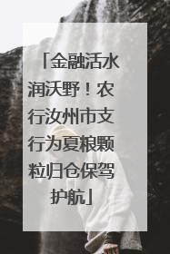 金融活水润沃野！农行汝州市支行为夏粮颗粒归仓保驾护航