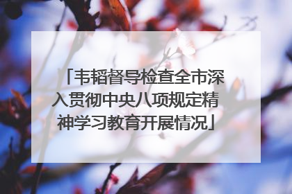 韦韬督导检查全市深入贯彻中央八项规定精神学习教育开展情况