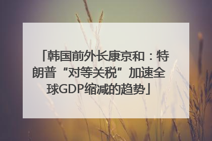 韩国前外长康京和：特朗普“对等关税”加速全球GDP缩减的趋势