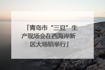 青岛市“三夏”生产现场会在西海岸新区大场镇举行