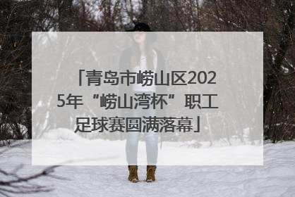 青岛市崂山区2025年“崂山湾杯”职工足球赛圆满落幕