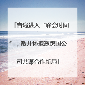青岛进入“峰会时间”，敞开怀抱邀跨国公司共谋合作新局