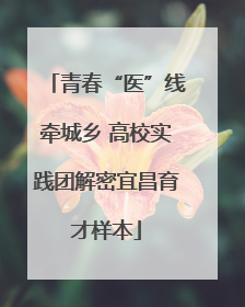 青春“医”线牵城乡 高校实践团解密宜昌育才样本