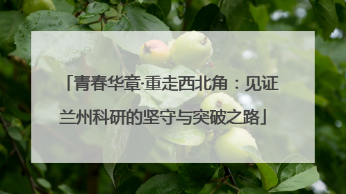 青春华章·重走西北角：见证兰州科研的坚守与突破之路