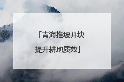 青海推坡并块提升耕地质效