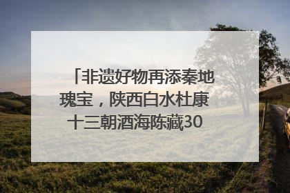 非遗好物再添秦地瑰宝，陕西白水杜康十三朝酒海陈藏30年别具一格