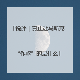 锐评｜真正让马斯克“作呕”的是什么