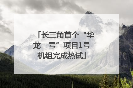 长三角首个“华龙一号”项目1号机组完成热试