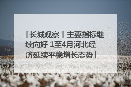 长城观察丨主要指标继续向好 1至4月河北经济延续平稳增长态势