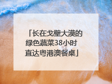 长在戈壁大漠的绿色蔬菜38小时直达粤港澳餐桌
