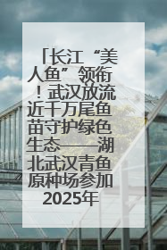 长江“美人鱼”领衔！武汉放流近千万尾鱼苗守护绿色生态——湖北武汉青鱼原种场参加2025年“全国放鱼日”增殖放流活动