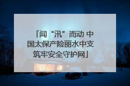 闻“汛”而动 中国太保产险丽水中支筑牢安全守护网