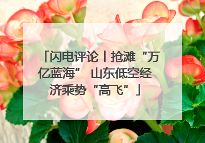 闪电评论丨抢滩“万亿蓝海” 山东低空经济乘势“高飞”