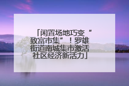 闲置场地巧变“致富市集”！罗雄街道南城集市激活社区经济新活力