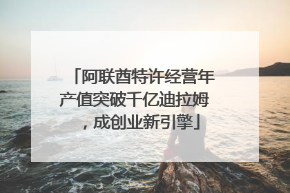 阿联酋特许经营年产值突破千亿迪拉姆，成创业新引擎