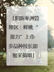 阳新率洲管理区：鲜桃“接力”上市 多品种拉长甜蜜采摘期