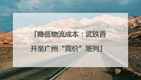 降低物流成本：武铁首开至广州“竞价”班列