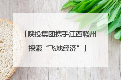 陕投集团携手江西赣州 探索“飞地经济”