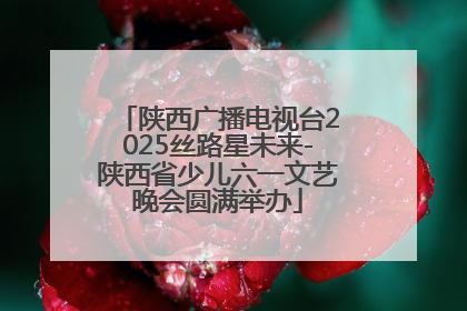 陕西广播电视台2025丝路星未来-陕西省少儿六一文艺晚会圆满举办
