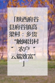 陕西府谷县府谷镇高梁村：乡货“触网出村” 农户“云端致富”