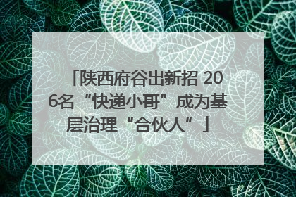 陕西府谷出新招 206名“快递小哥”成为基层治理“合伙人”
