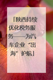 陕西持续优化税务服务——为汽车企业“出海”护航