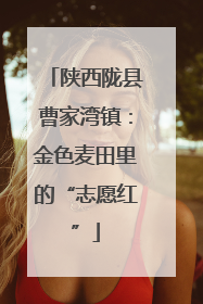 陕西陇县曹家湾镇：金色麦田里的“志愿红”