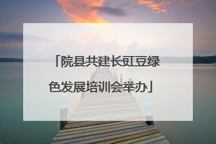 院县共建长豇豆绿色发展培训会举办