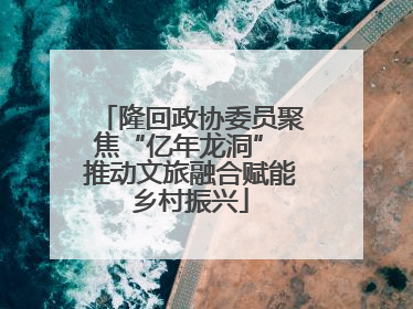 隆回政协委员聚焦“亿年龙洞” 推动文旅融合赋能乡村振兴