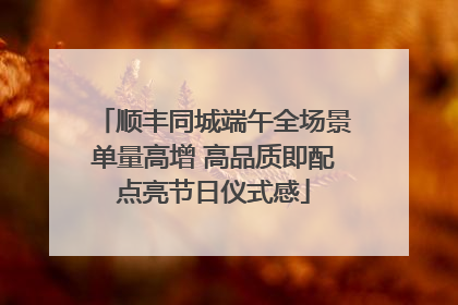 顺丰同城端午全场景单量高增 高品质即配点亮节日仪式感