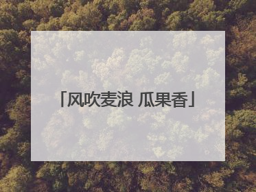 风吹麦浪 瓜果香