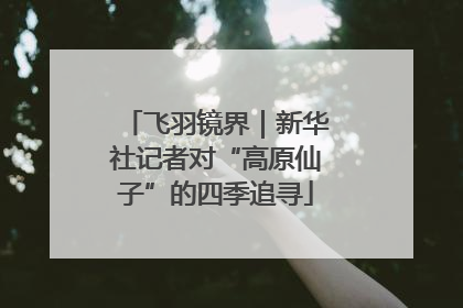 飞羽镜界｜新华社记者对“高原仙子”的四季追寻