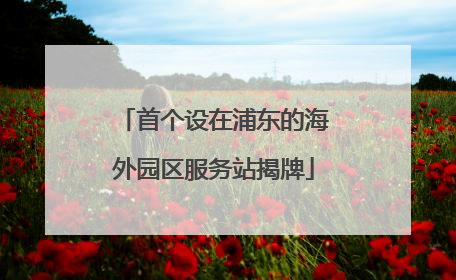 首个设在浦东的海外园区服务站揭牌