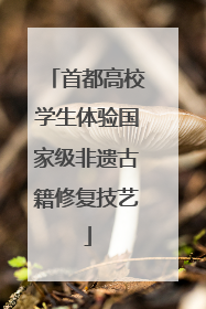 首都高校学生体验国家级非遗古籍修复技艺