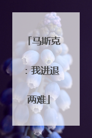 马斯克：我进退两难