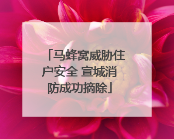 马蜂窝威胁住户安全 宣城消防成功摘除