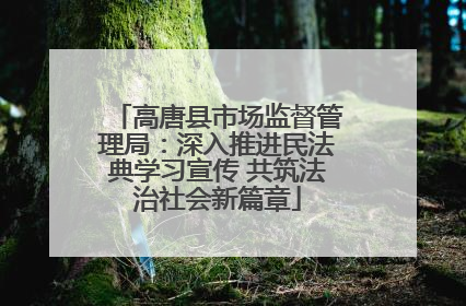 高唐县市场监督管理局：深入推进民法典学习宣传 共筑法治社会新篇章