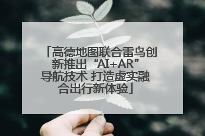 高德地图联合雷鸟创新推出“AI+AR”导航技术 打造虚实融合出行新体验