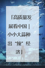 高质量发展看中国｜小小大蒜种出“辣”经济