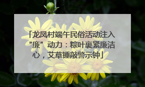 龙凤村端午民俗活动注入“廉”动力：粽叶裹紧廉洁心，艾草锤敲警示钟